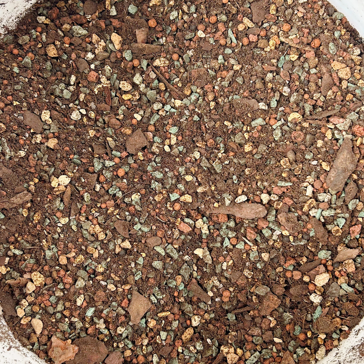 Succulent Soil Mix(1lb) Limestone Succulents