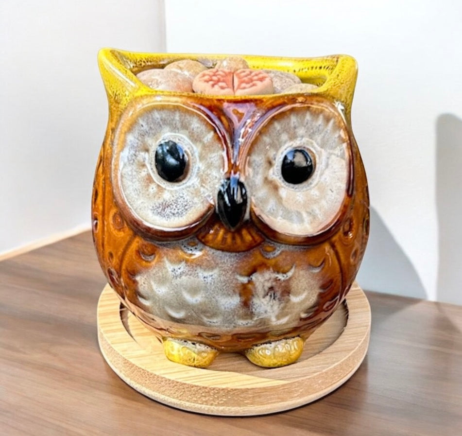 Living Stone (Owl)